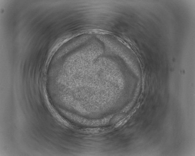 X0000080720049200701051044