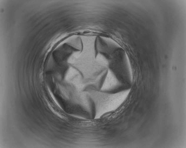 X0000080720050200701051044