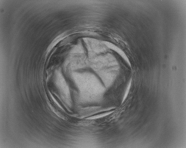 X0000080720051200701051044