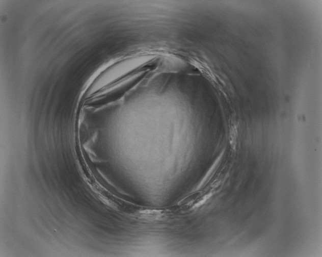 X0000080720052200701051044