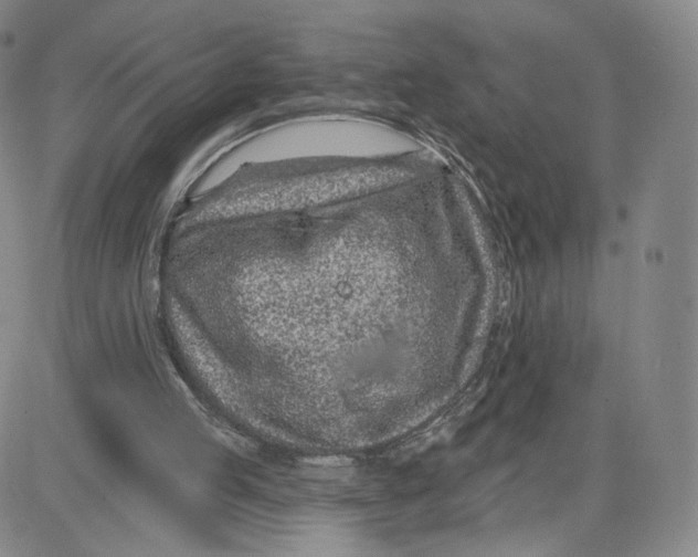 X0000080720053200701051044