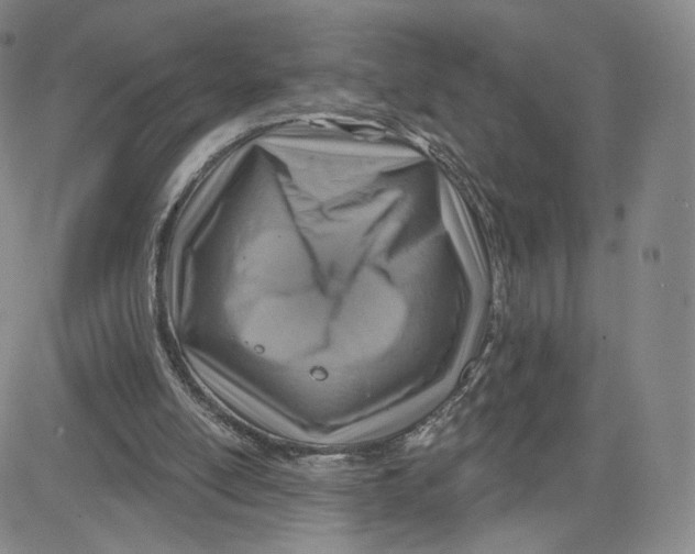 X0000080720054200701051044