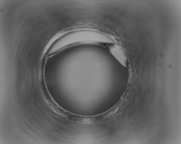 X0000080720056200701051044