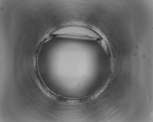 X0000080720057200701051044