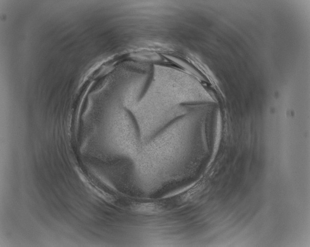 X0000080720058200701051044