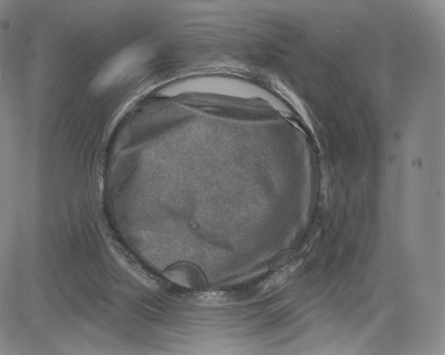 X0000080720059200701051044