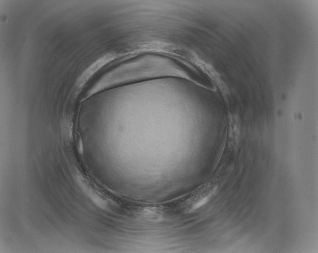 X0000080720060200701051044