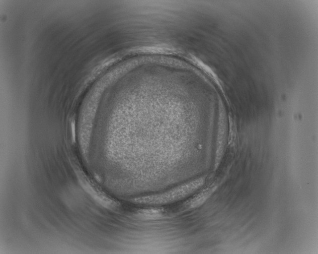 X0000080720061200701051044