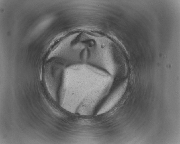 X0000080720062200701051044