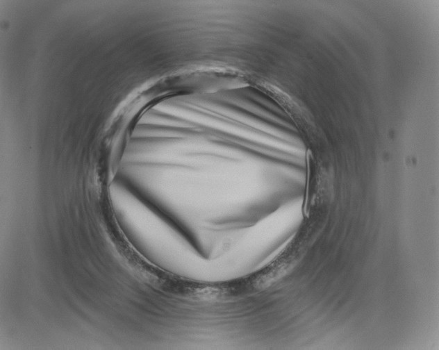 X0000080720064200701051044