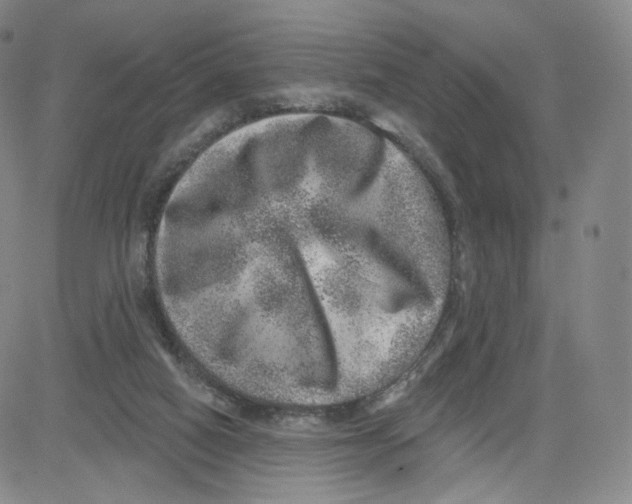 X0000080720066200701051044