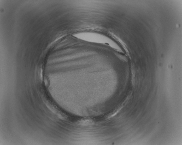 X0000080720067200701051044