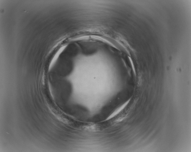 X0000080720068200701051044