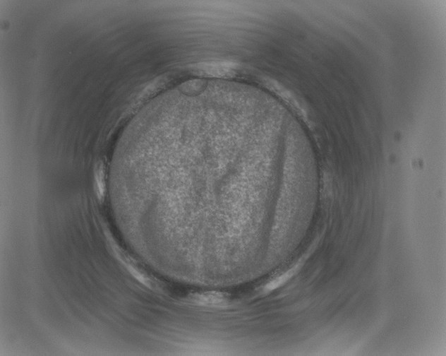 X0000080720069200701051044