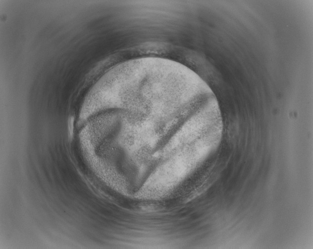 X0000080720070200701051044