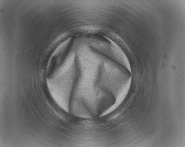 X0000080720071200701051044