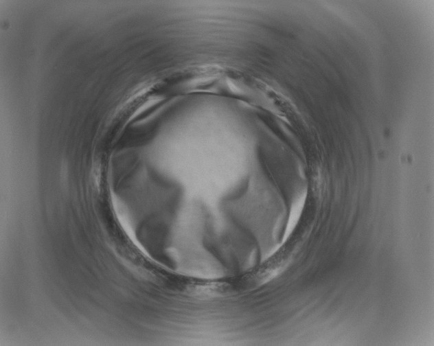 X0000080720072200701051044