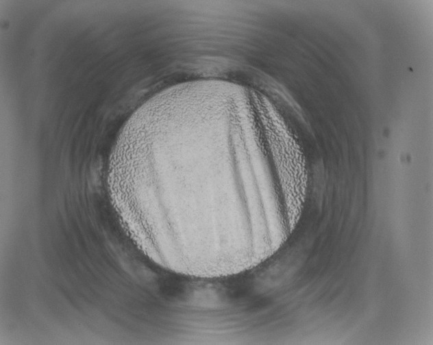 X0000080720073200701051044