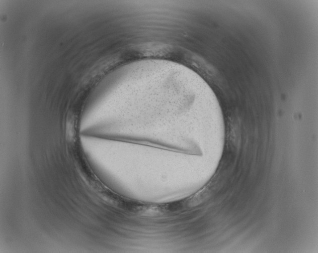 X0000080720074200701051044