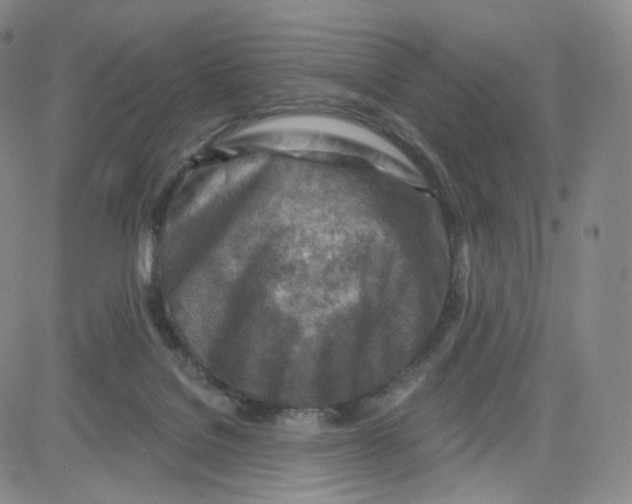 X0000080720076200701051045