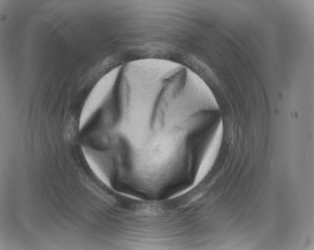 X0000080720077200701051045