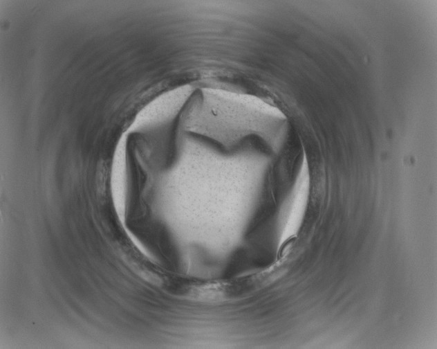 X0000080720078200701051045