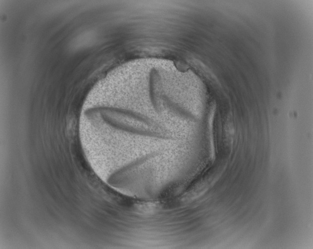 X0000080720079200701051045