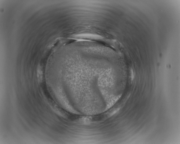 X0000080720080200701051045