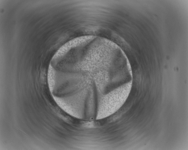 X0000080720083200701051045