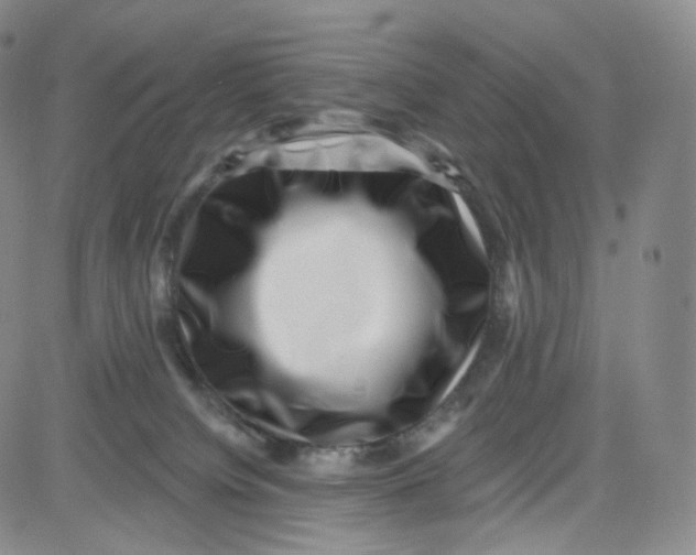 X0000080720084200701051045