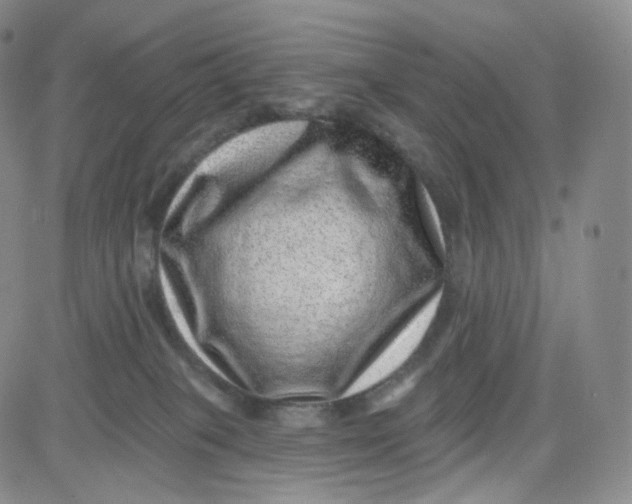 X0000080720085200701051045