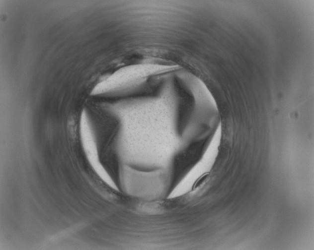 X0000080720086200701051045