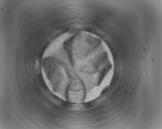 X0000080720087200701051045