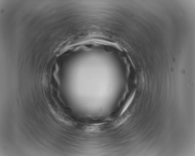 X0000080720088200701051045