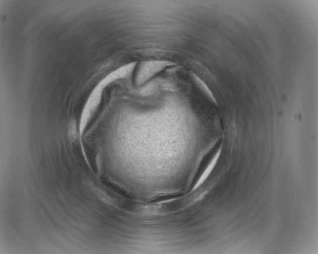 X0000080720089200701051045