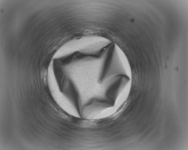 X0000080720094200701051045