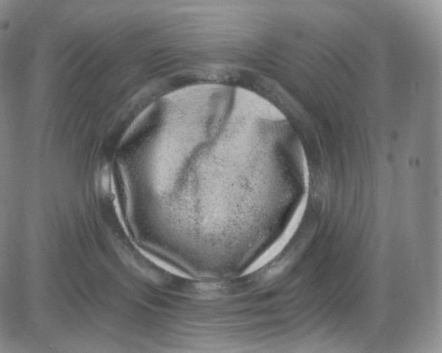 X0000080720095200701051045