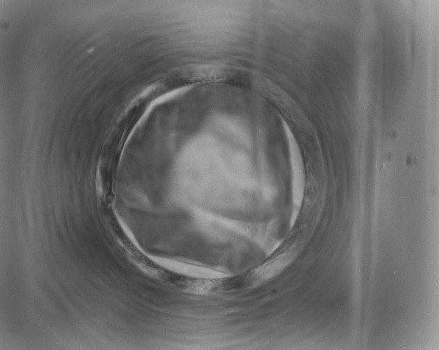 X0000080720096200701051045