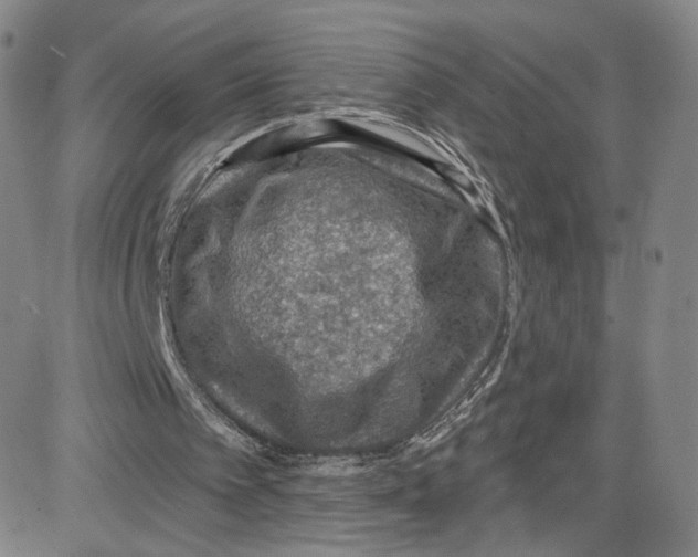 X0000080720097200701051044