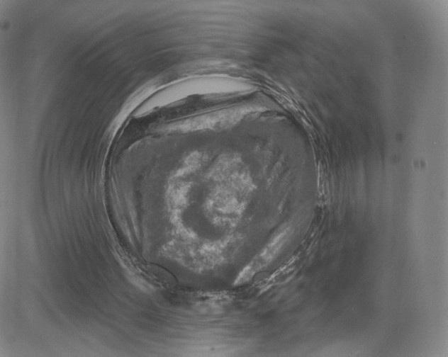 X0000080720099200701051044