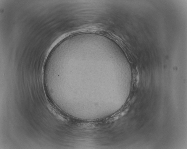 X0000080720100200701051044