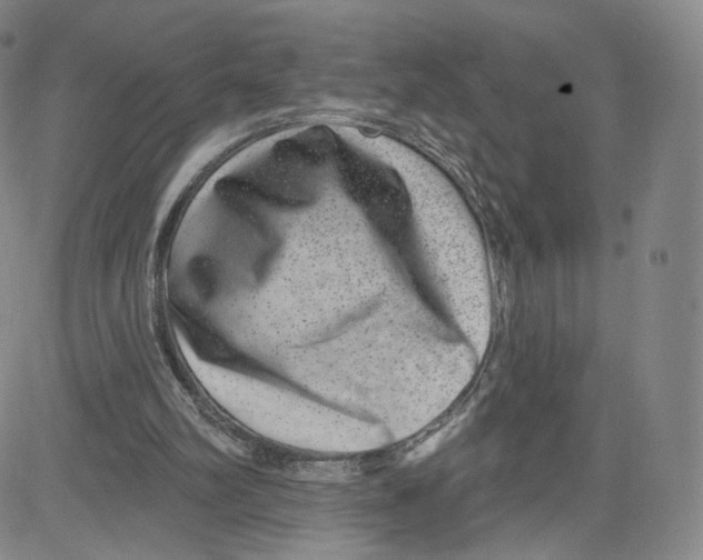 X0000080720102200701051044