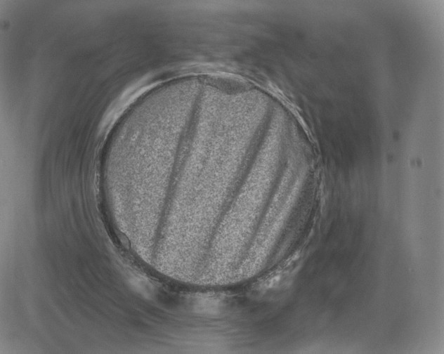 X0000080720103200701051044