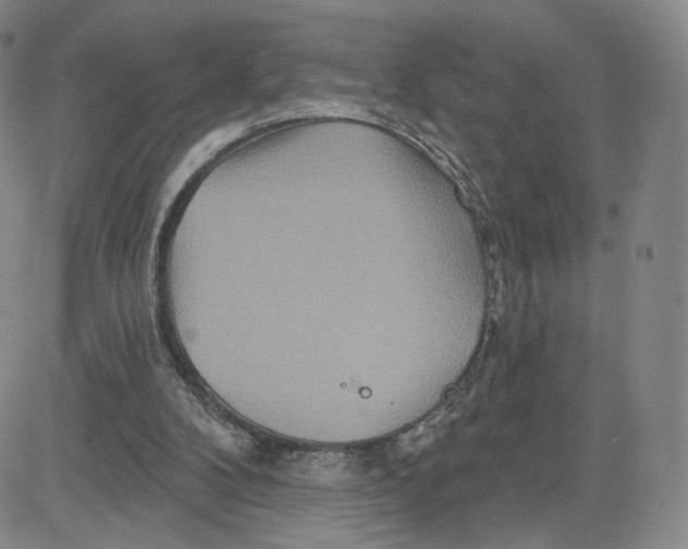 X0000080720104200701051044