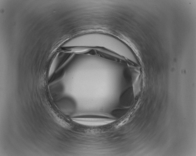 X0000080720105200701051044