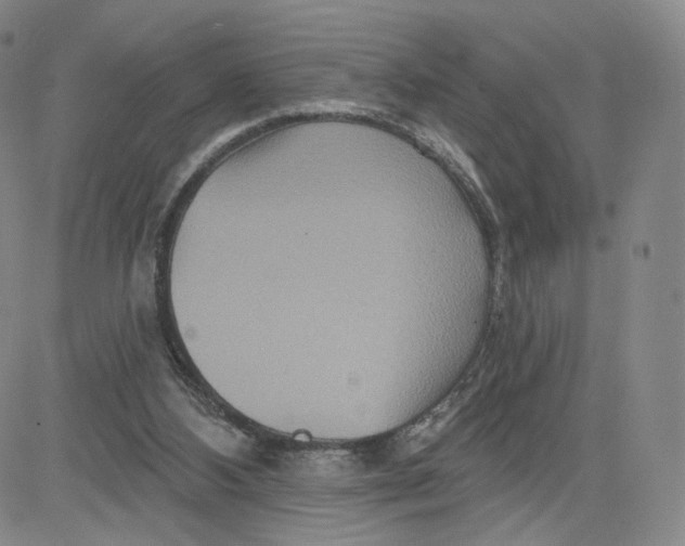 X0000080720108200701051044