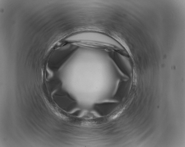 X0000080720109200701051044