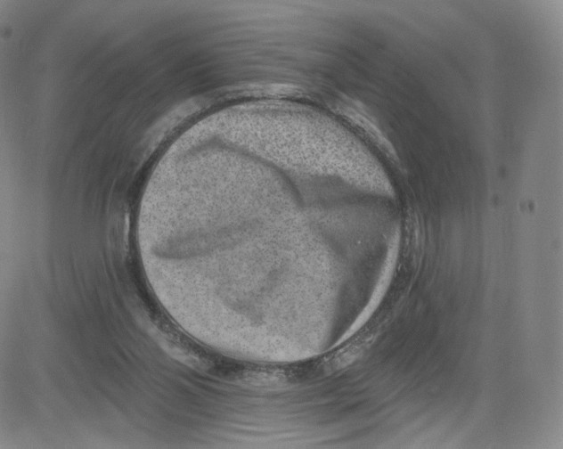 X0000080720110200701051044