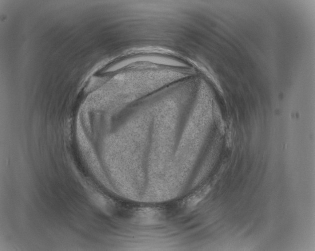 X0000080720111200701051044