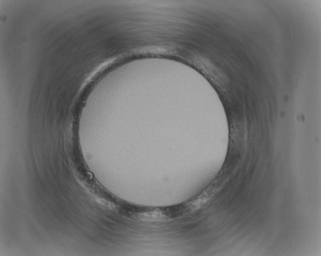 X0000080720112200701051044